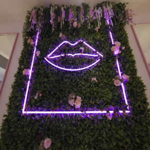 Lip Shaped interior design for your wall
